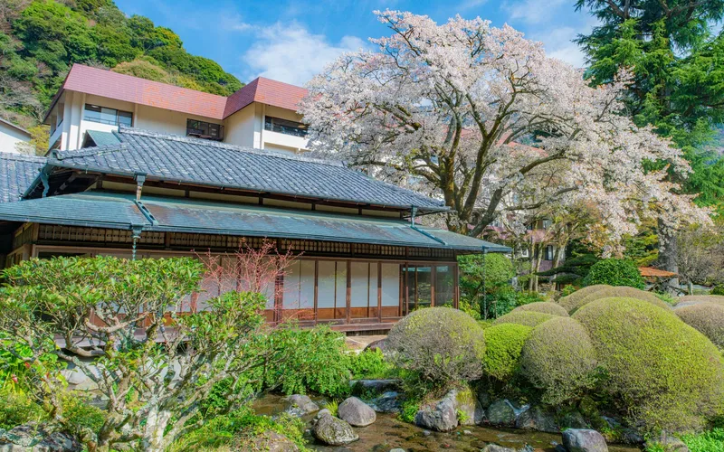 Yoshiike Ryokan garden open-air bath fed by six of its own springs, Hakone onsen ryokan hotels, Japan